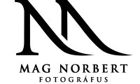 mn_logo